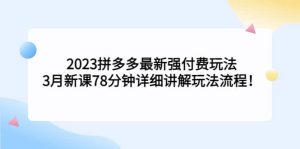 2023拼多多最新强付费玩法，3月新课78分钟详细讲解玩法流程-墨痕微课