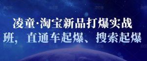凌童·淘宝新品打爆实战班,直通车起爆、搜索起爆-墨痕微课