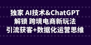 独家 AI技术ChatGPT解锁 跨境电商新玩法,引流获客 数据化运营思维-墨痕微课