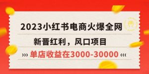 2023小红书电商火爆全网,新晋红利,风口项目,单店收益在3000-30000-墨痕微课