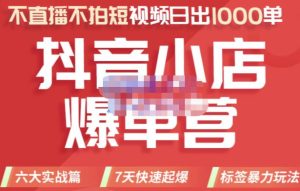 推易电商·2022年抖音小店爆单营,不直播、不拍短视频、日出1000单,暴力玩法-墨痕微课