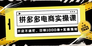 不灭《拼多多电商实操课》开店不迷茫,日销1000单 实操落地(价值299元)-墨痕微课
