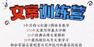 龙小天《文案训练营》全面系统解决文案写作难题!-墨痕微课