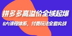 拼多多-高溢价 全域 起爆,6大课程体系,付费玩法全套实战-墨痕微课