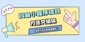 抖音小程序项目,方法交给你,按照方法去做就行了-墨痕微课