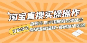 淘宝直搜实操操作 直通车与手淘搜索完美结合(高级运营课程 直搜精华实战)-墨痕微课