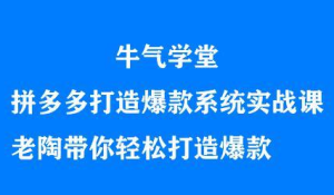 牛气学堂拼多多打造爆款系统实战课,老陶带你轻松打造爆款-墨痕微课