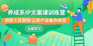 养成系-IP文案课训练营,文案心法的天花板 洞悉人性营销 让客户追着你收钱-墨痕微课