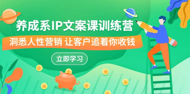 养成系-IP文案课训练营,文案心法的天花板 洞悉人性营销 让客户追着你收钱-墨痕微课