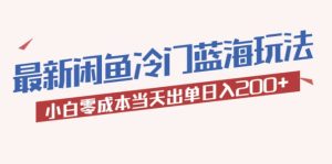 2023最新闲鱼冷门蓝海玩法,小白零成本当天出单日入200-墨痕微课