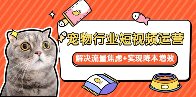 宠物/行业短视频运营 流量增长的一层窗户纸 解决流量焦虑 实现降本增效-墨痕微课