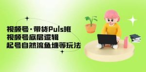 视频号·带货Puls班，视频号底层逻辑，起号自然流鱼塘等玩法-墨痕微课