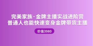 金牌主播实战进阶营 普通人也能快速变身金牌带货主播 (价值3980)-墨痕微课
