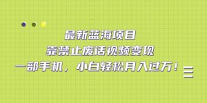 最新蓝海项目，靠禁止废话视频变现，一部手机，小白轻松月入过万！-墨痕微课