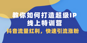 教你如何打造超级IP线上特训营,抖音流量红利新机遇-墨痕微课