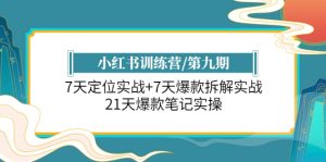 小红书训练营/第九期：7天定位实战 7天爆款拆解实战，21天爆款笔记实操-墨痕微课