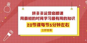 拼多多运营必修课:20节课每节5分钟左右,用最短的时间学习最有用的知识-墨痕微课