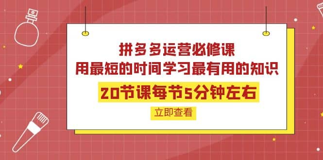 拼多多运营必修课:20节课每节5分钟左右,用最短的时间学习最有用的知识-墨痕微课