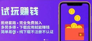 APP应用试玩平台搭建，快速实现被动收益，轻松日入几百（程序 教程）-墨痕微课