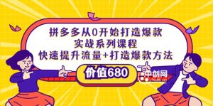 拼多多从0开始打造爆款实战系列课程:快速提升流量 打造爆款方法-墨痕微课