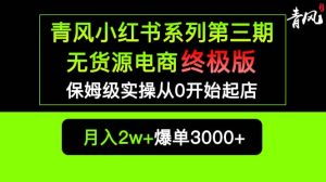 小红书无货源电商爆单终极版【视频教程 实战手册】保姆级实操从0起店爆单-墨痕微课