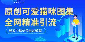 黑科技纯原创可爱猫咪图片，全网精准引流，实操5个VX号被加频繁-墨痕微课