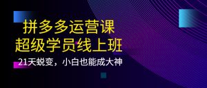 拼多多运营课:超级学员线上班,21天蜕变,小白也能成大神-墨痕微课