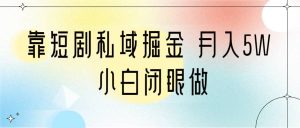 靠短剧私域掘金 月入5W 小白闭眼做(教程 2T资料)-墨痕微课