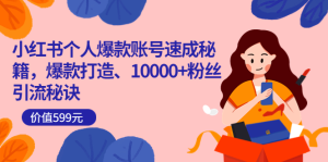 小红书个人爆款账号速成秘籍,爆款打造、10000 粉丝引流秘诀(价值599)-墨痕微课