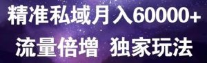 原力网赚精准私域月入60000 ,流量倍增独家玩法-墨痕微课