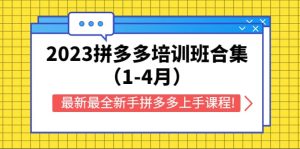 2023拼多多培训班合集(1-4月),最新最全新手拼多多上手课程!-墨痕微课