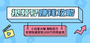 玩转微信视频号赚钱:小白变大咖涨粉百万实现快速变现1000万的现金流-墨痕微课