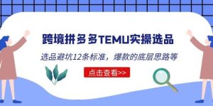 跨境拼多多TEMU实操选品运营方法,选品避坑12条标准,爆款的底层思路等-墨痕微课