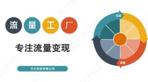 收费3980的流量工厂回粉项目,号称1个粉10元【详细玩法教程解析】-墨痕微课