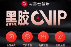 网易云撸黑胶年卡及变现方法,收益可无限放大-墨痕微课