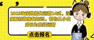 2023淘宝数据化-运营 14式,深度解析数据化知识,帮你从小白成长为高级运营-墨痕微课