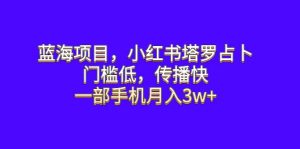 蓝海项目,小红书塔罗占卜,门槛低,传播快,一部手机月入3w-墨痕微课