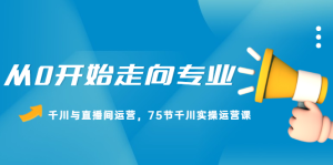 从0开始走向专业,千川与直播间运营,75节千川实操运营课-墨痕微课