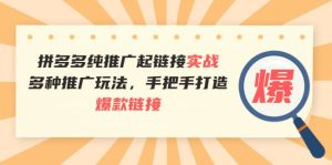 拼多多纯推广起链接实战:多种推广玩法,手把手打造爆款链接-墨痕微课