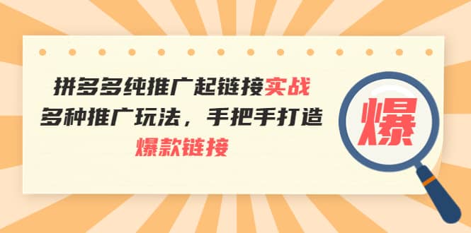 拼多多纯推广起链接实战:多种推广玩法,手把手打造爆款链接-墨痕微课