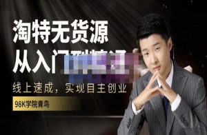 98k学院的淘特无货源线上速成课,从入门到精通,让你最小投入,最高回报-墨痕微课