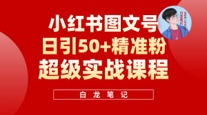 小红书图文号日引50 精准流量，超级实战的小红书引流课，非常适合新手-墨痕微课