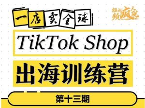 TikTokShop出海训练营（第十三期），打开全球流量新思维，出海抢占全球新流量，一店卖全球-墨痕微课