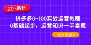 2023拼多多0-100实战运营教程,0基础起步,运营知识一手掌握(无水印)-墨痕微课