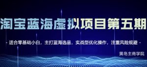 黄岛主淘宝虚拟无货源3.0 4.0 5.0,适合零基础小白,主打蓝海选品,实战型优化操作-墨痕微课