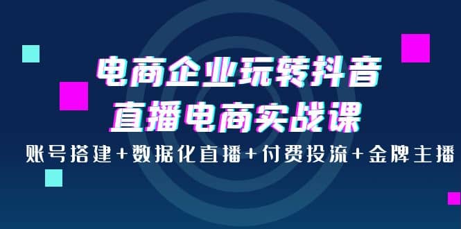 电商企业玩转抖音直播电商实战课:账号搭建 数据化直播 付费投流 金牌主播-墨痕微课