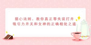 猎心法则,教你真正零失误打开吸引力开关和女神的正确相处之道-墨痕微课
