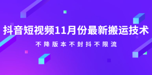 抖音短视频11月份最新搬运技术,不降版本不封抖不限流!【视频课程】-墨痕微课