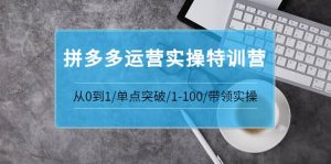 青云:拼多多运营实操特训营:从0到1/单点突破/1-100/带领实操 价值2980元-墨痕微课