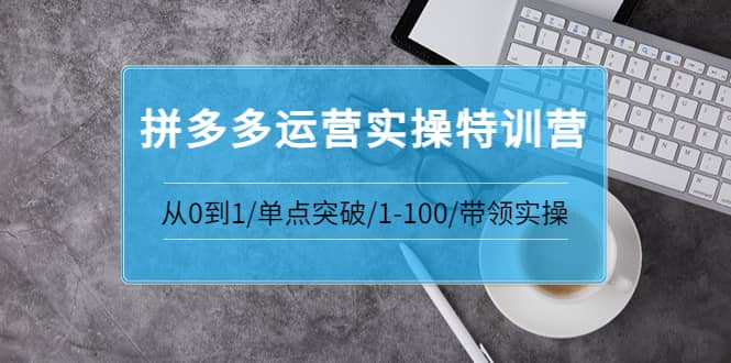 青云:拼多多运营实操特训营:从0到1/单点突破/1-100/带领实操 价值2980元-墨痕微课
